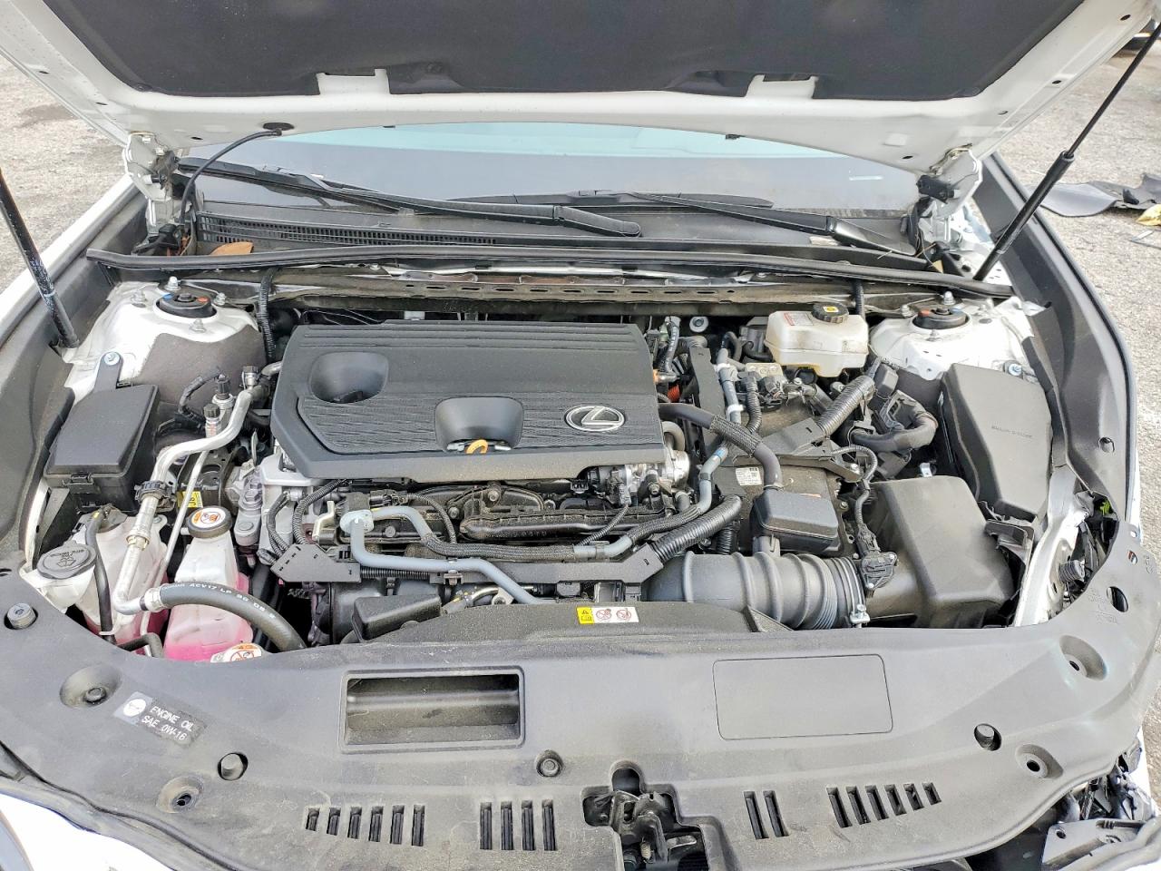 2024 LEXUS ES 300H BASE photo 31