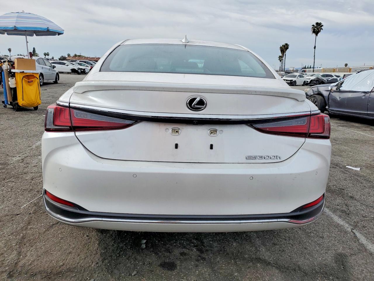 2024 LEXUS ES 300H BASE photo 16