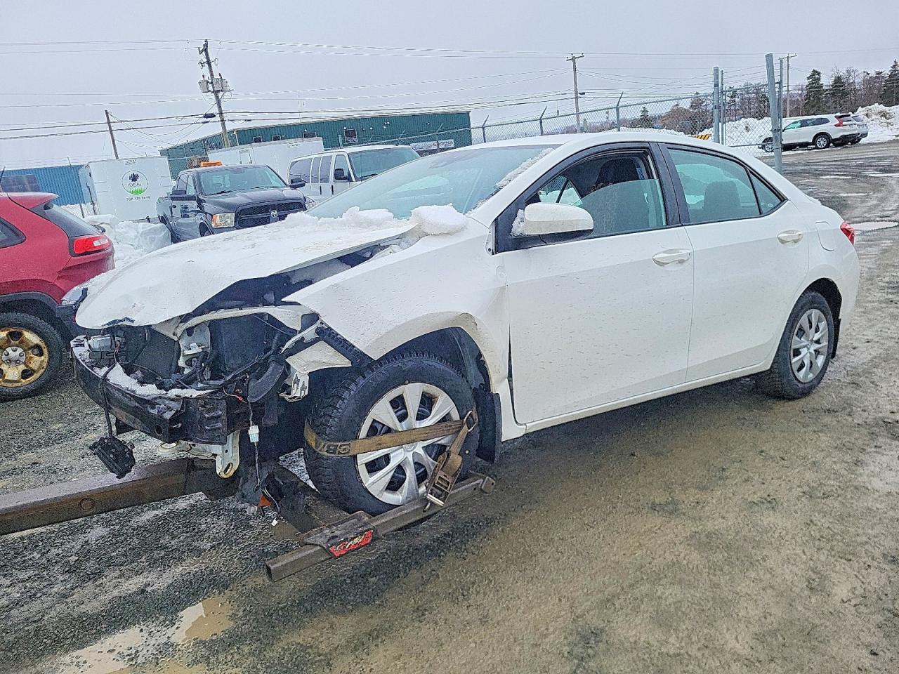 2019 TOYOTA COROLLA
