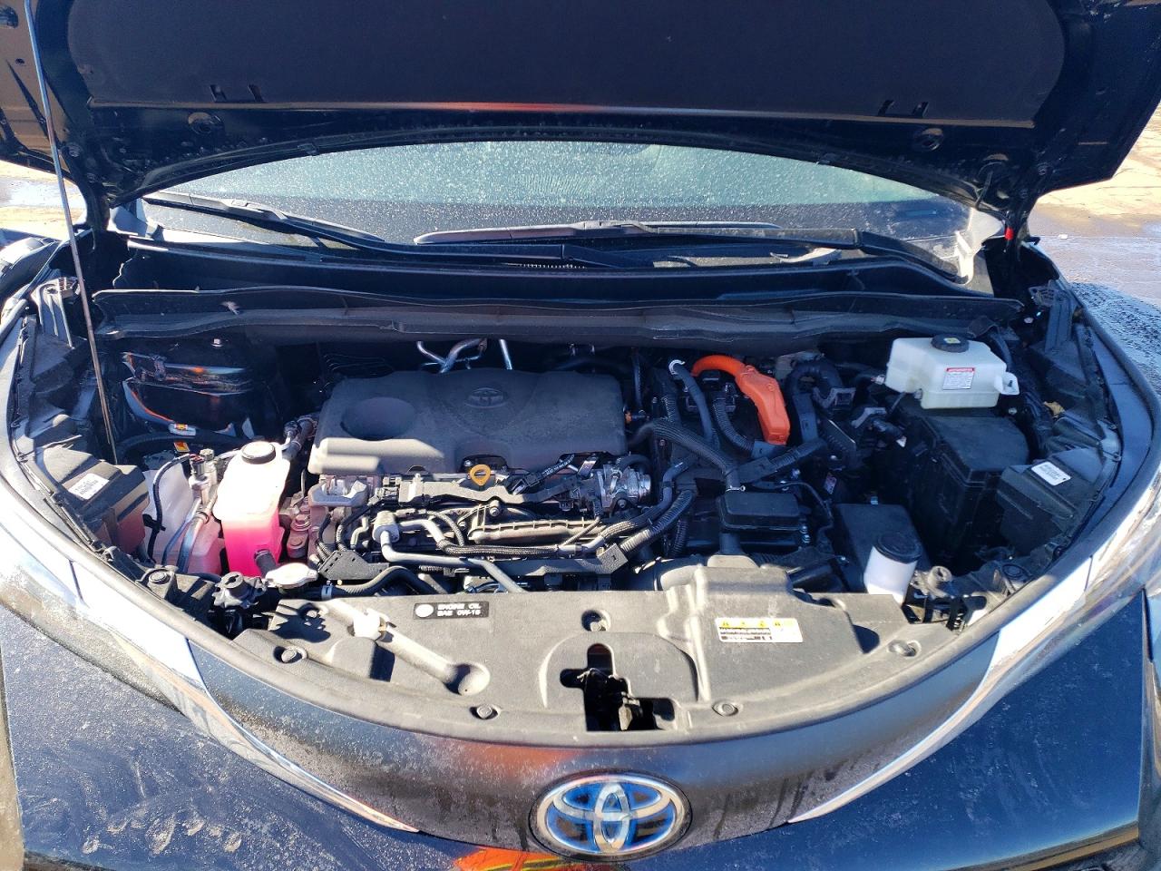 2025 TOYOTA SIENNA LE 8-PASSENGER photo 23