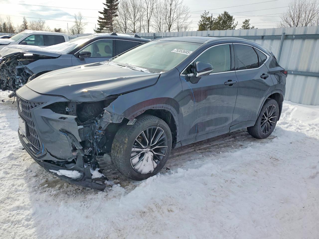2022 LEXUS NX
