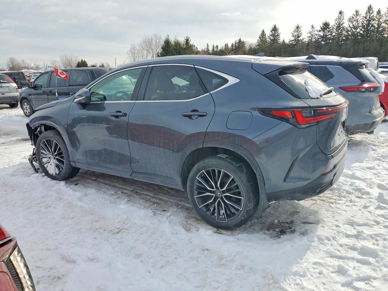 2022 LEXUS NX 350H photo 3