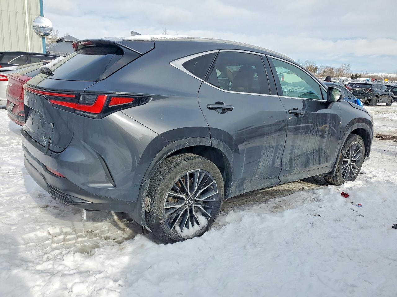 2022 LEXUS NX 350H photo 5