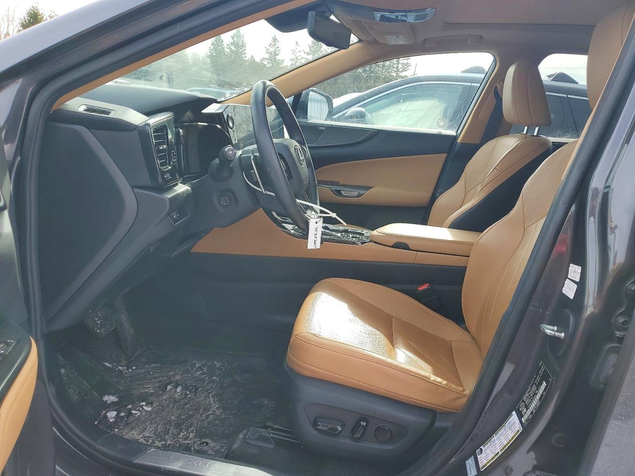 2022 LEXUS NX 350H photo 13
