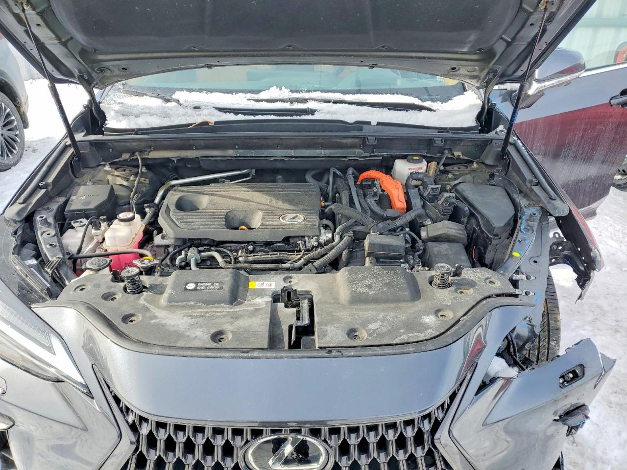 2022 LEXUS NX 350H photo 23