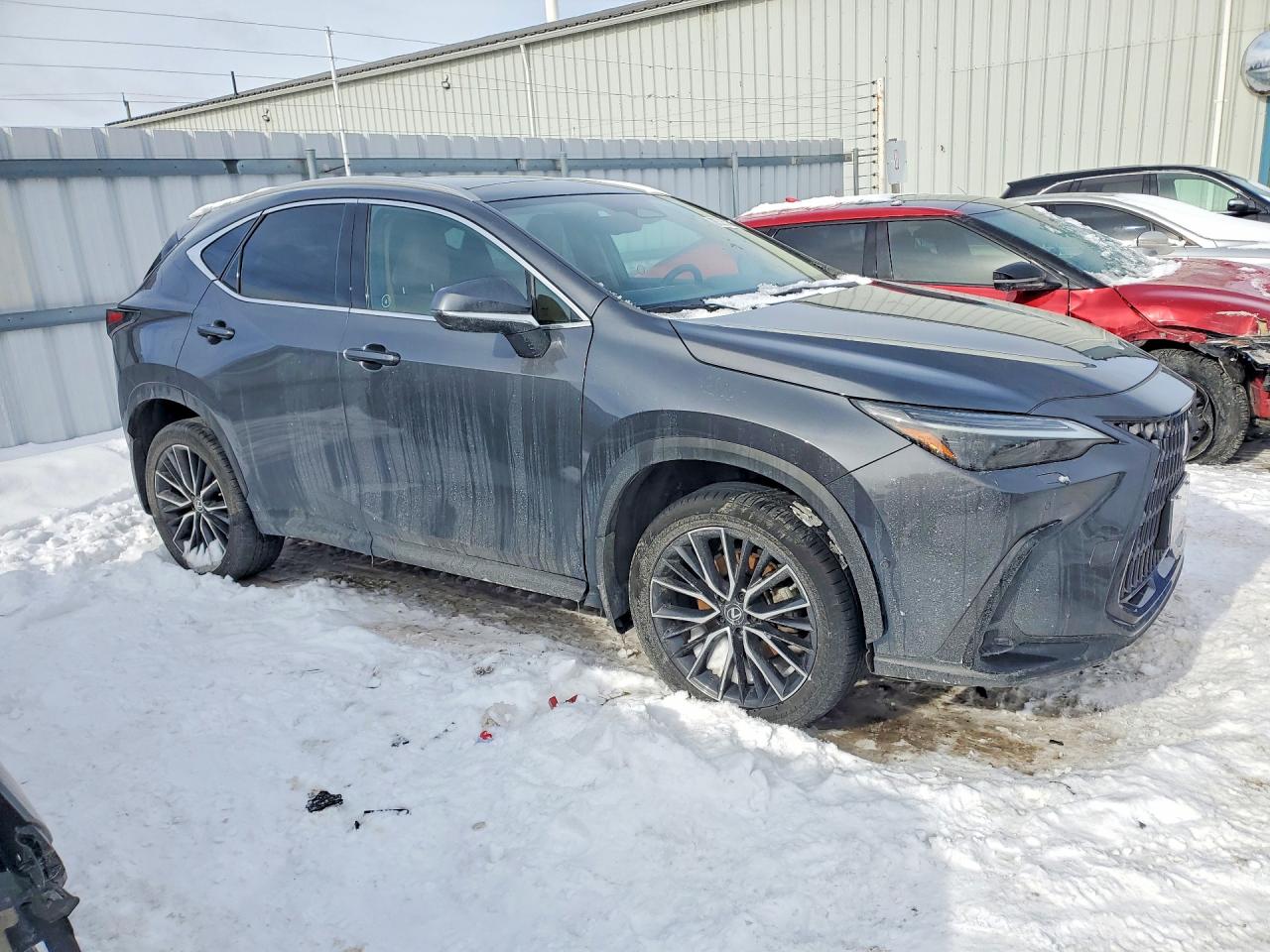 2022 LEXUS NX 350H photo 7