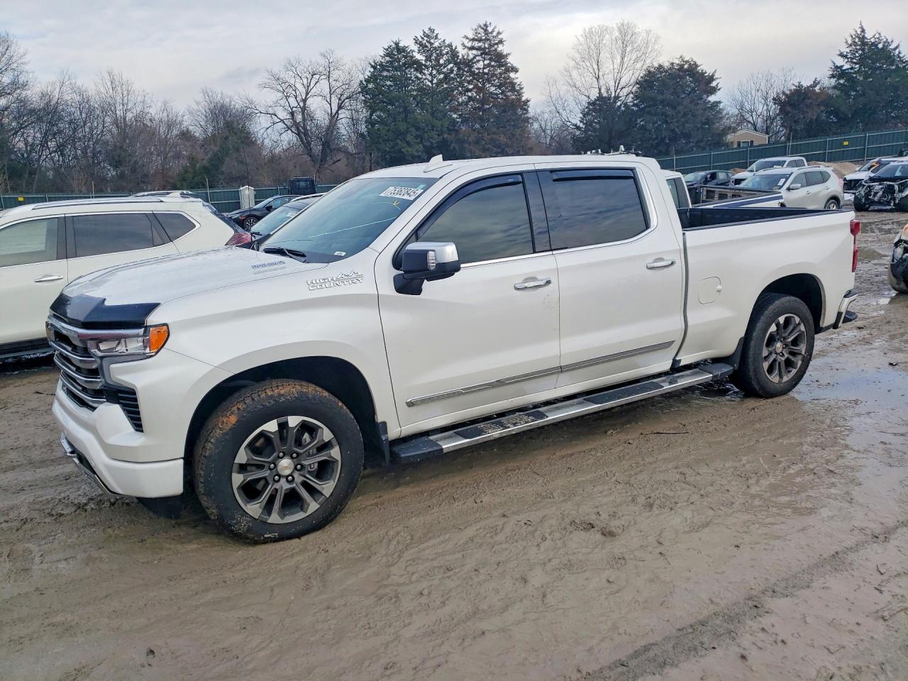2024 CHEVROLET SILVERADO