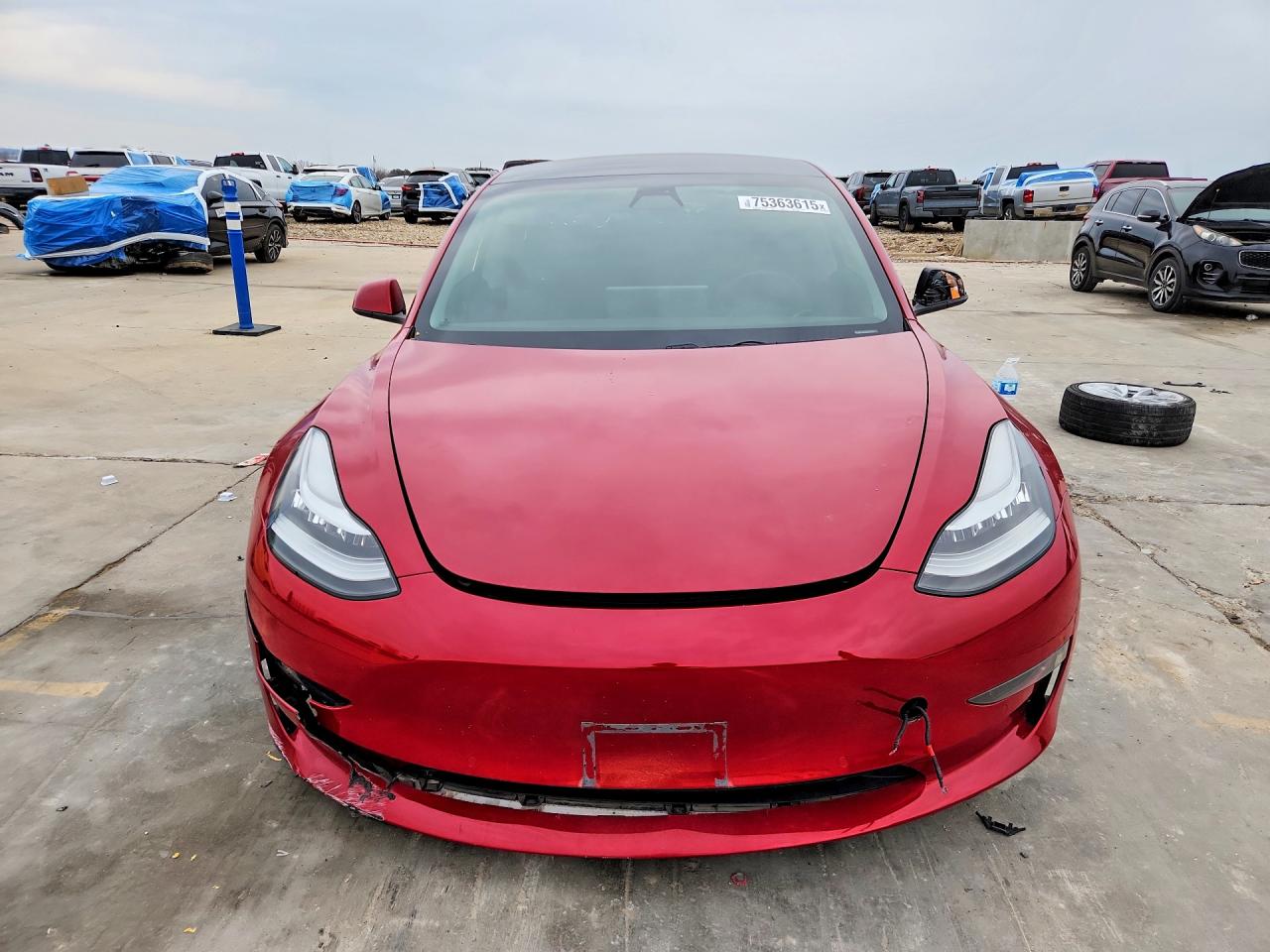 2019 TESLA MODEL 3 photo 13