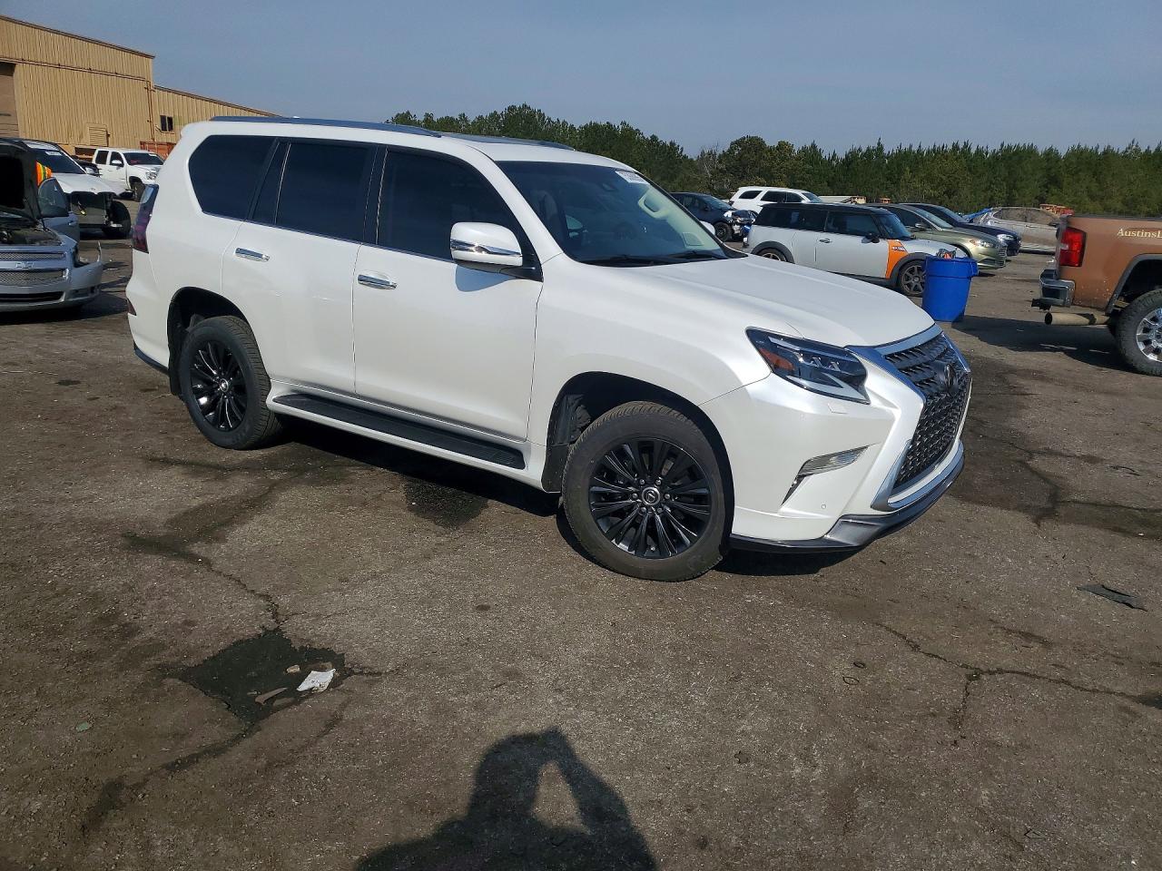 2023 LEXUS GX 460 photo 10