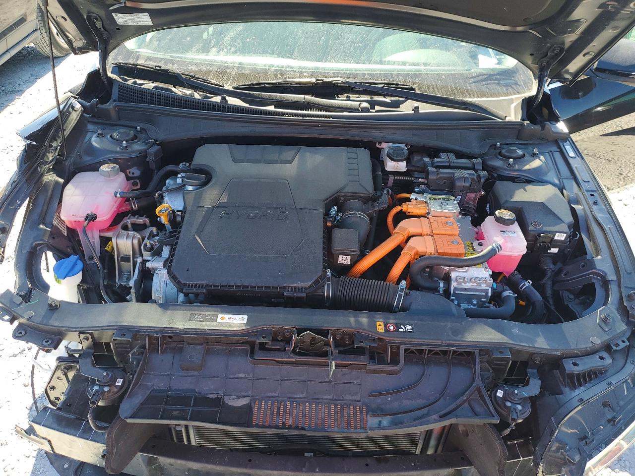 2024 HYUNDAI ELANTRA LIMITED photo 11