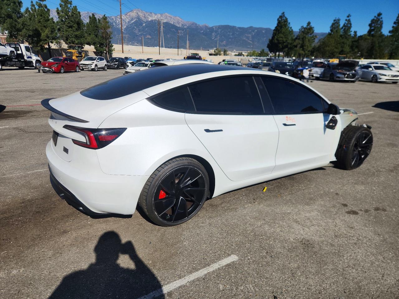 2024 TESLA MODEL 3 photo 3