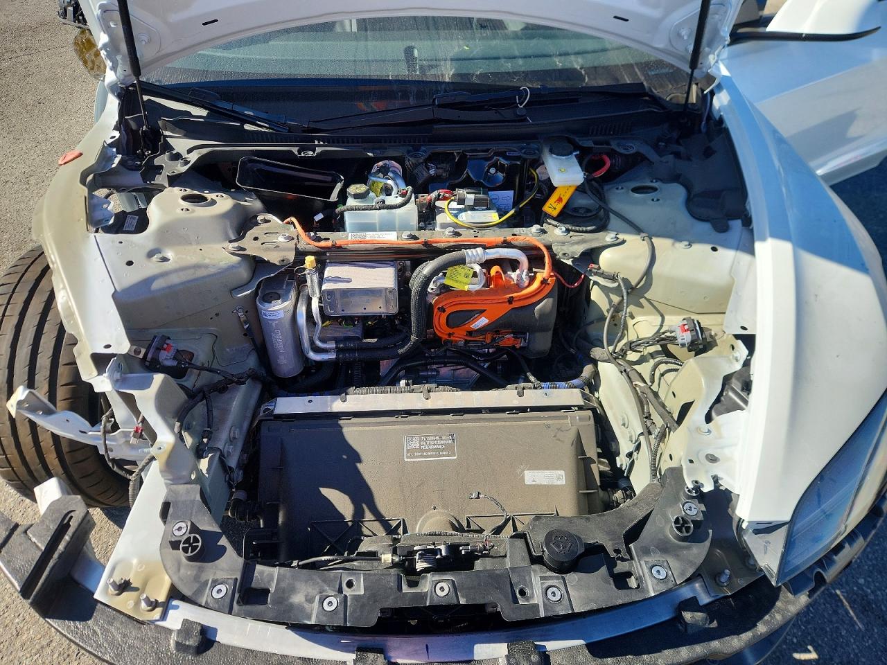2024 TESLA MODEL 3 photo 11