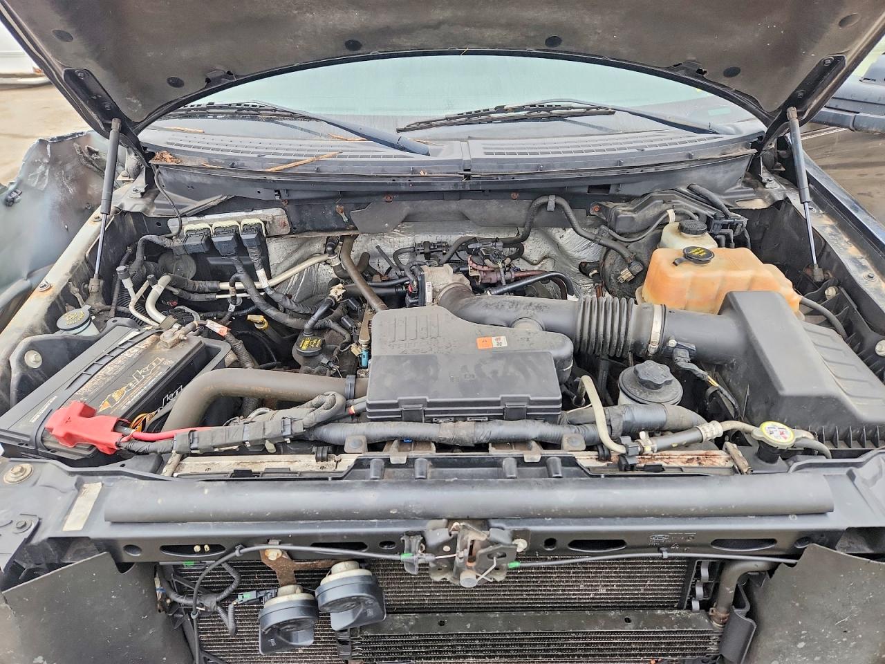 2010 FORD F150 photo 31