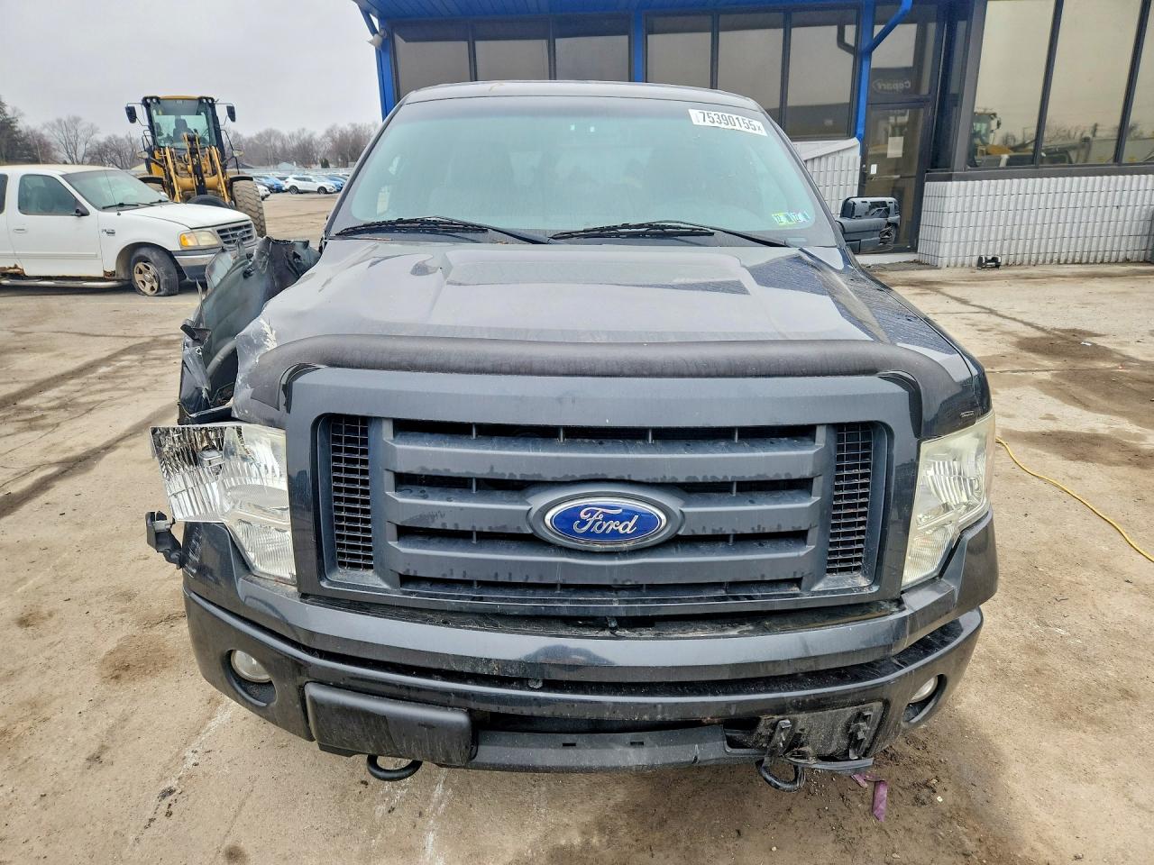 2010 FORD F150 photo 13