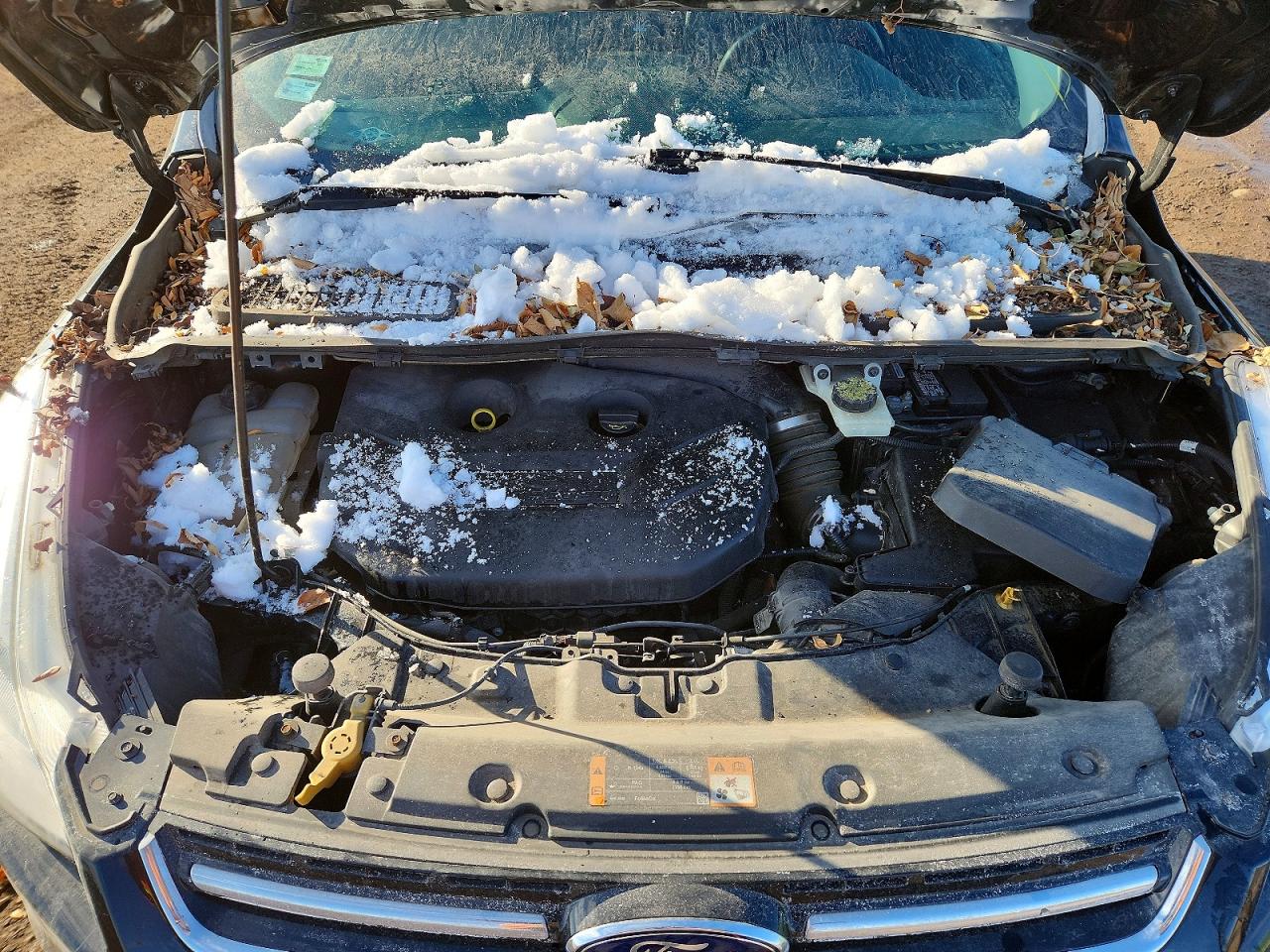 2014 FORD ESCAPE TITANIUM photo 11