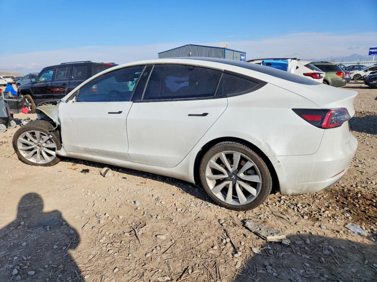 2019 TESLA MODEL 3 photo 2