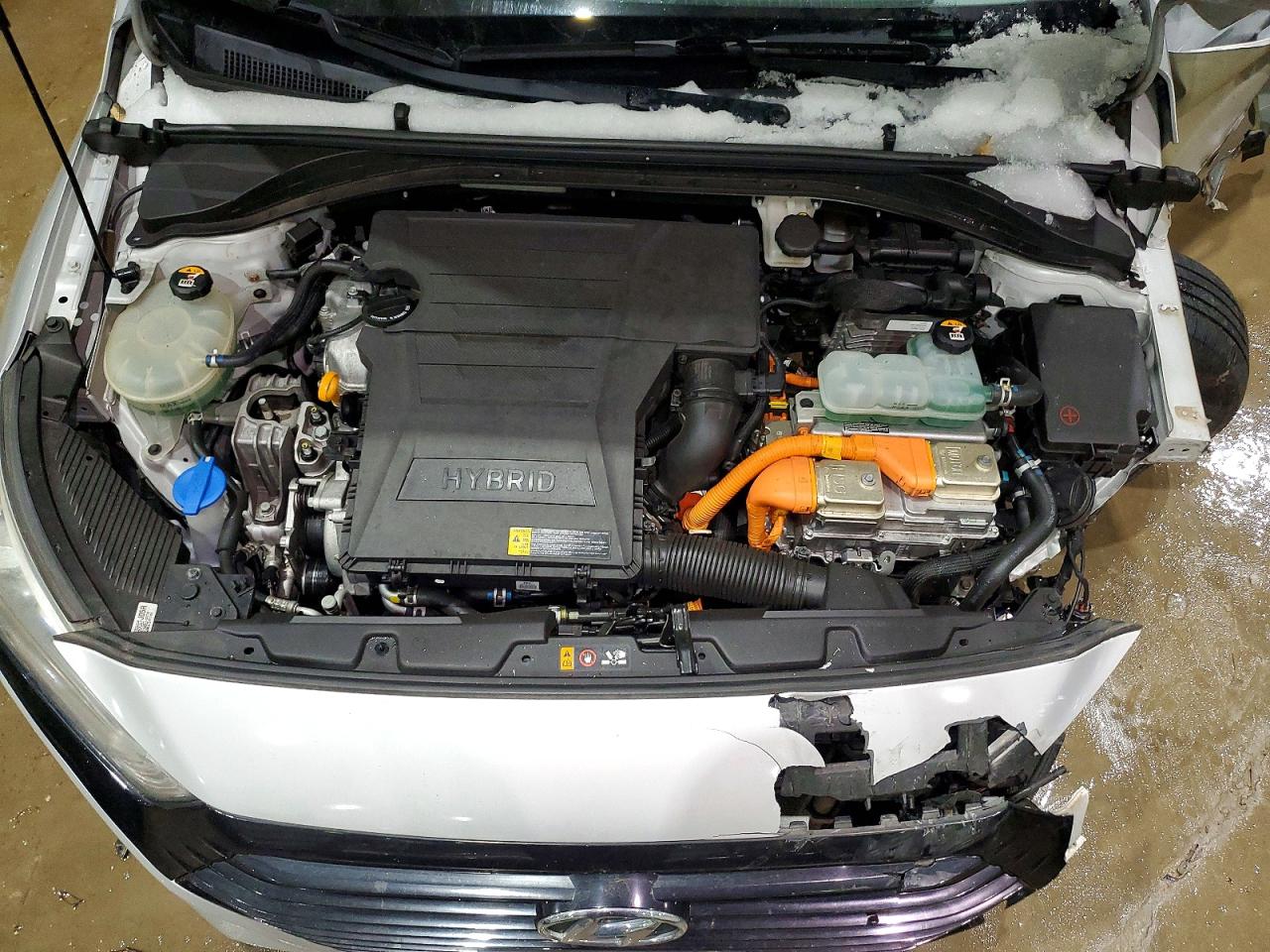 2019 HYUNDAI IONIQ BLUE photo 11