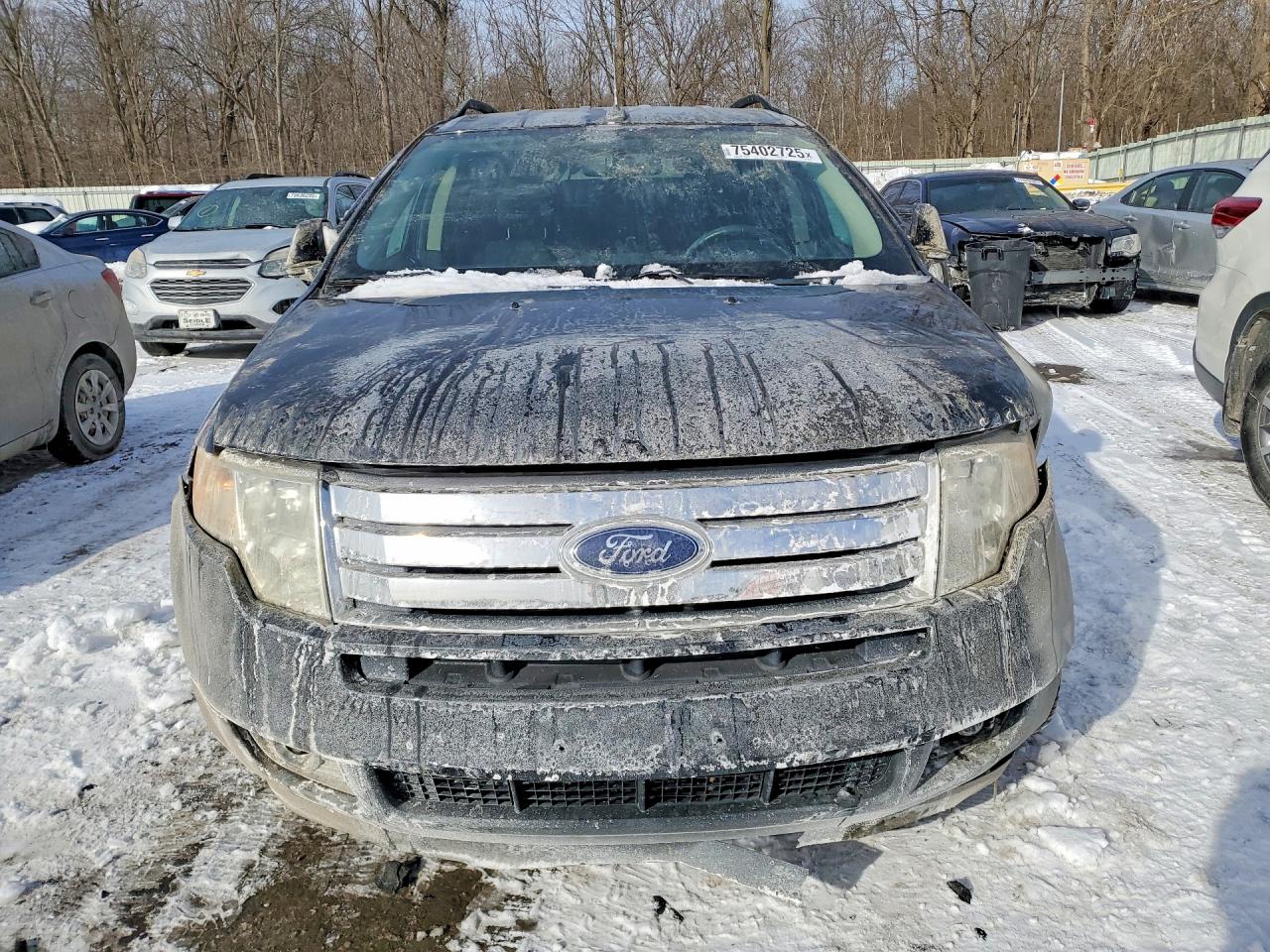 2010 FORD EDGE SEL photo 9