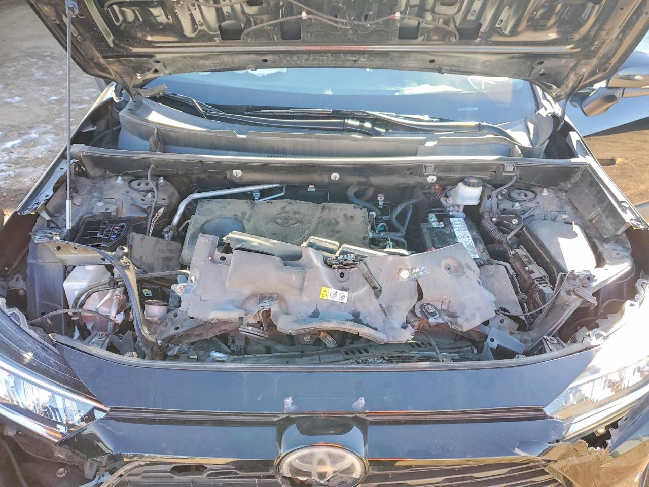 2019 TOYOTA RAV4 XLE photo 21
