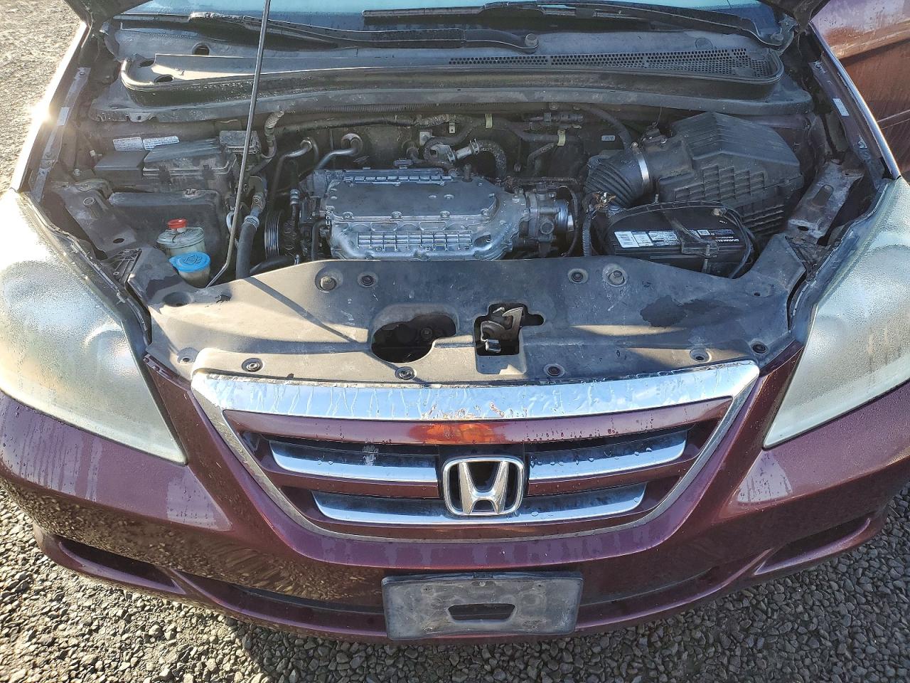 2007 HONDA ODYSSEY EXL photo 23