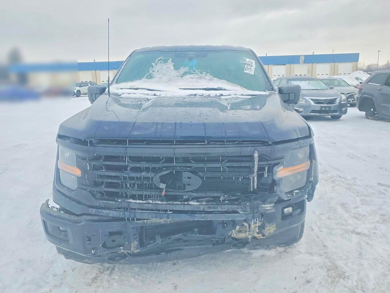 2025 FORD F150 XLT photo 5