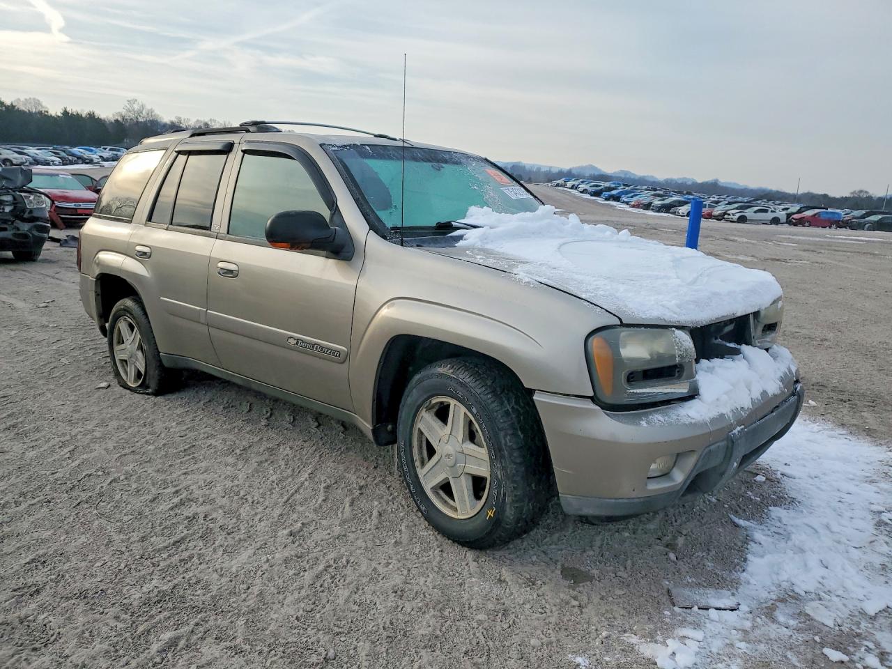 2003 CHEVROLET TRAILBLAZER photo 10