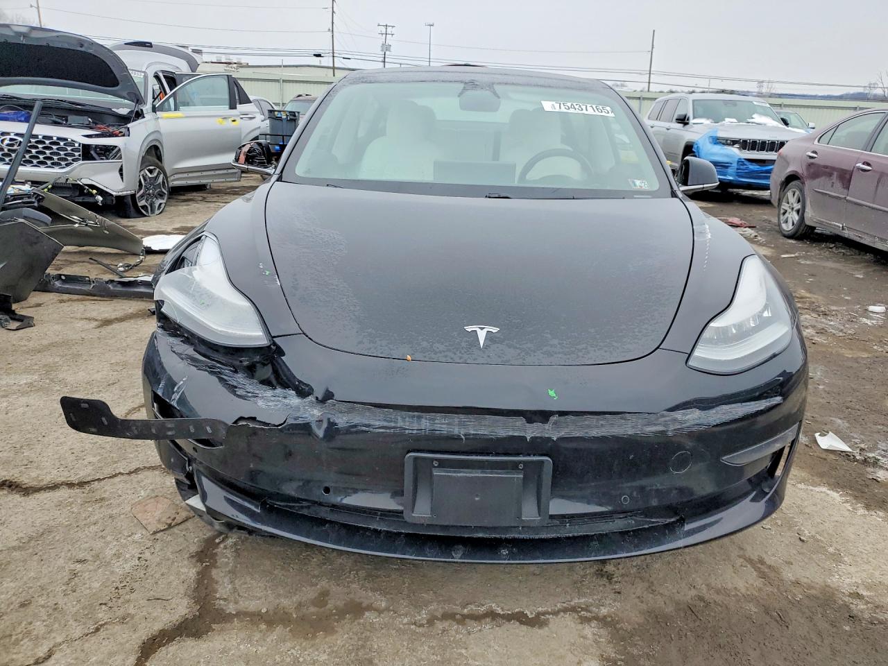 2019 TESLA MODEL 3 photo 9