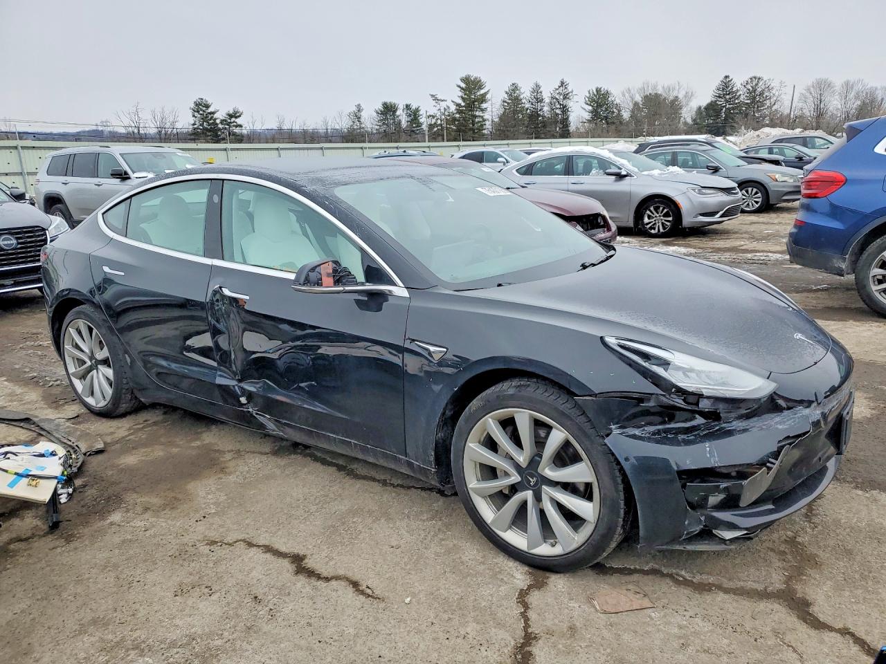 2019 TESLA MODEL 3 photo 7