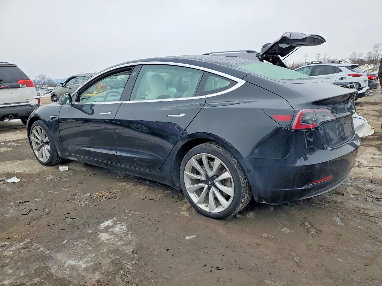2019 TESLA MODEL 3 photo 3
