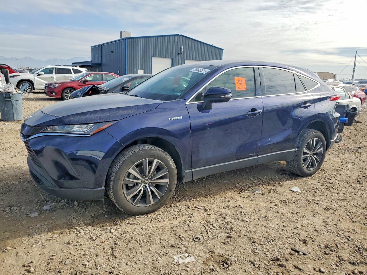 2021 TOYOTA VENZA