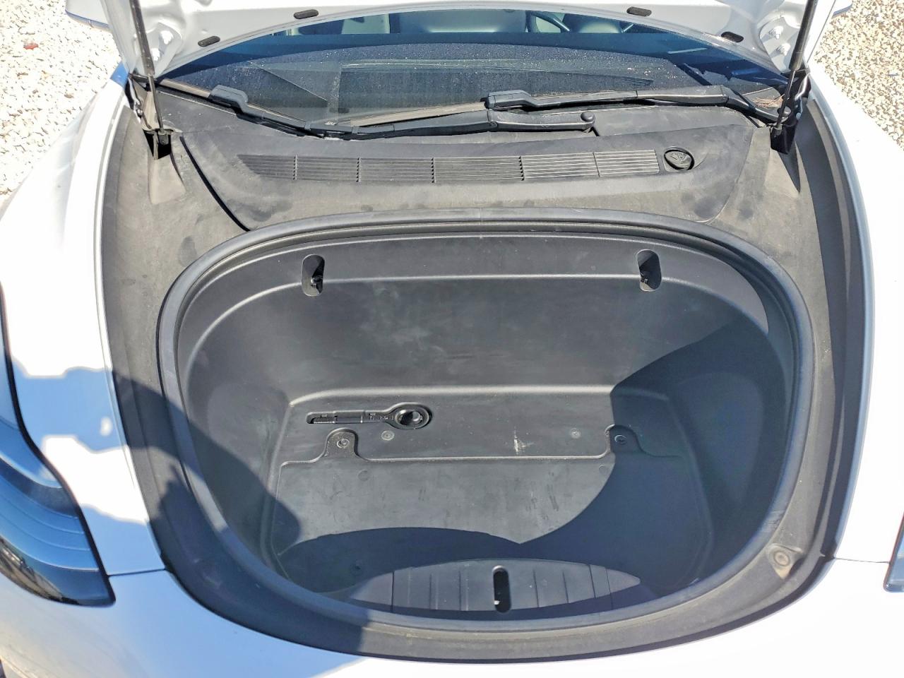 2020 TESLA MODEL 3 photo 11