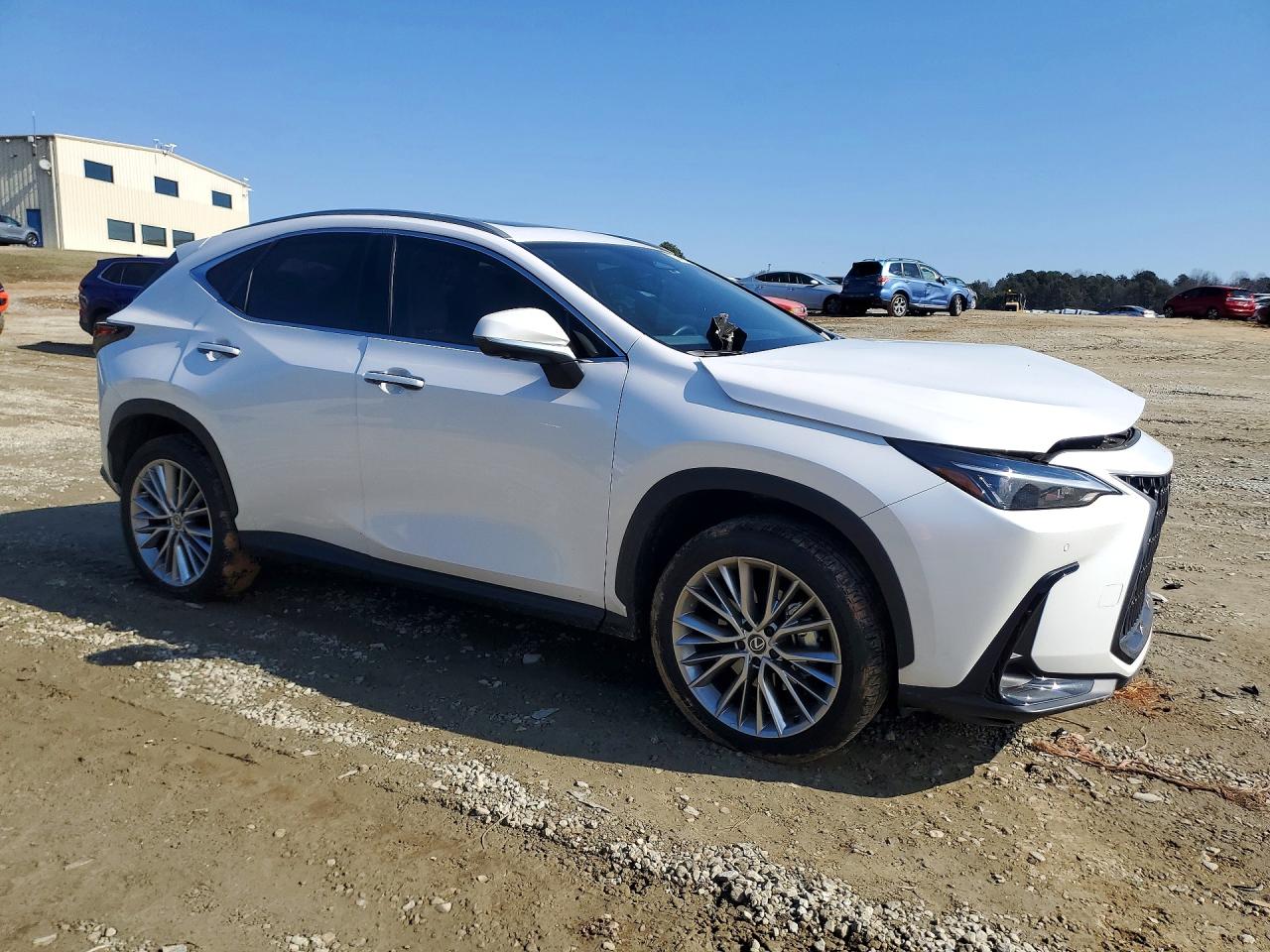 2025 LEXUS NX 350 PREMIUM photo 13