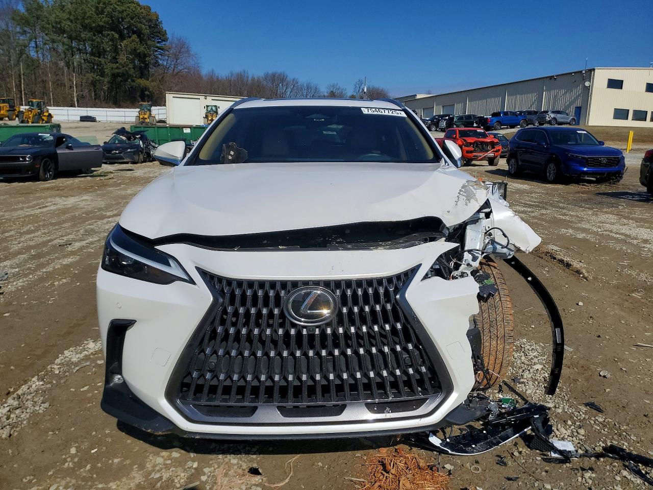 2025 LEXUS NX 350 PREMIUM photo 17