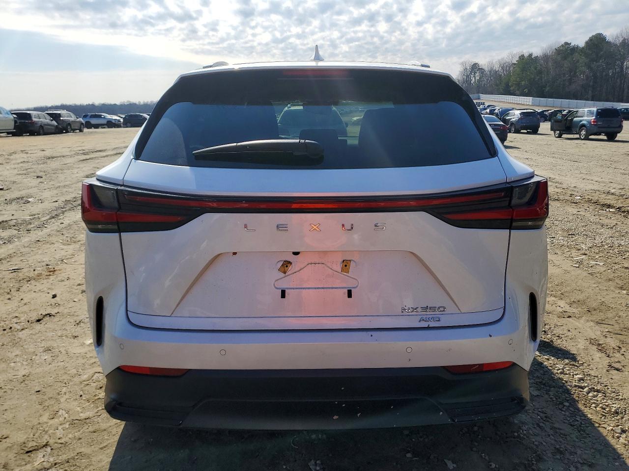 2025 LEXUS NX 350 PREMIUM photo 21