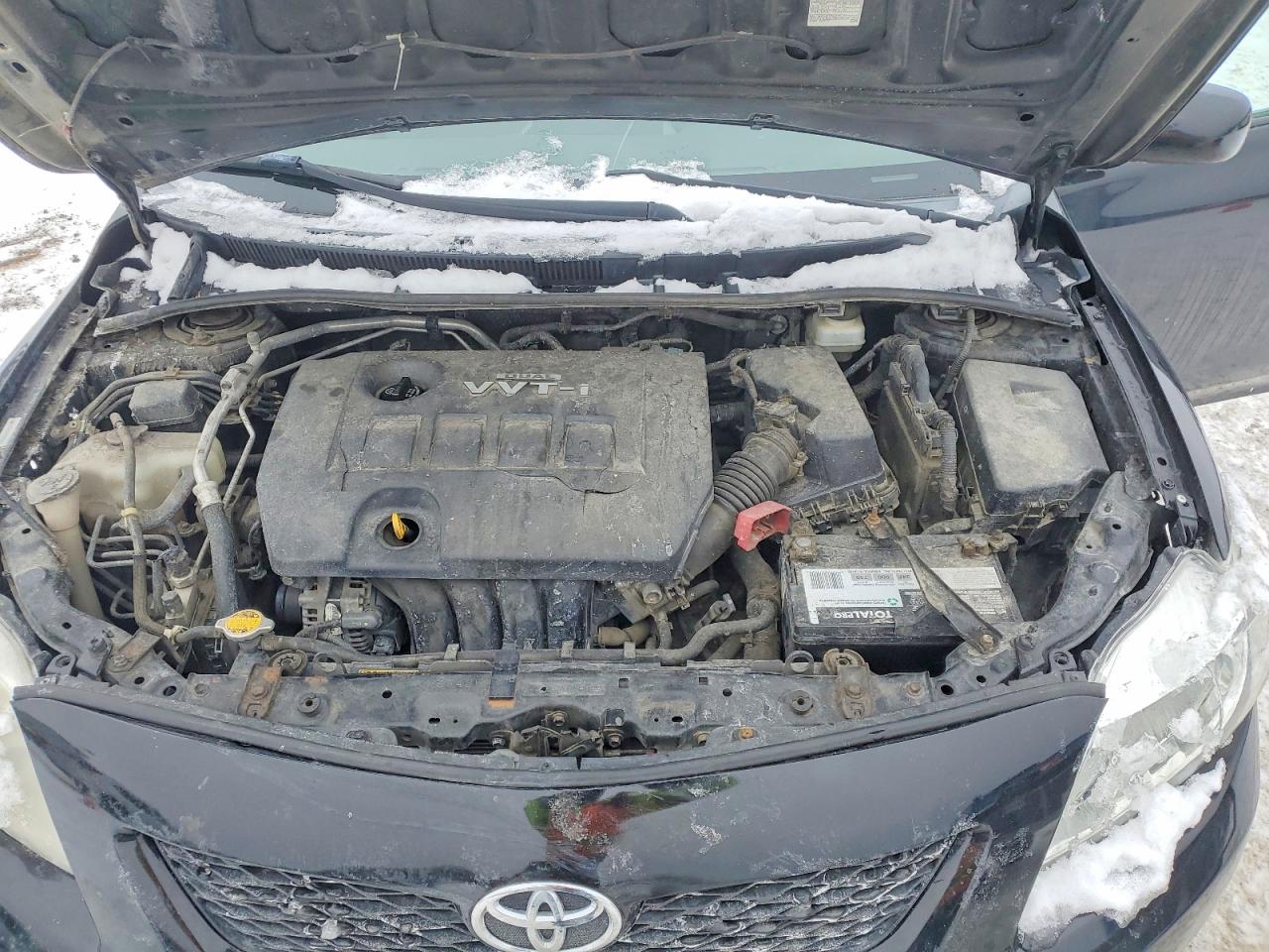 2010 TOYOTA COROLLA LE photo 11