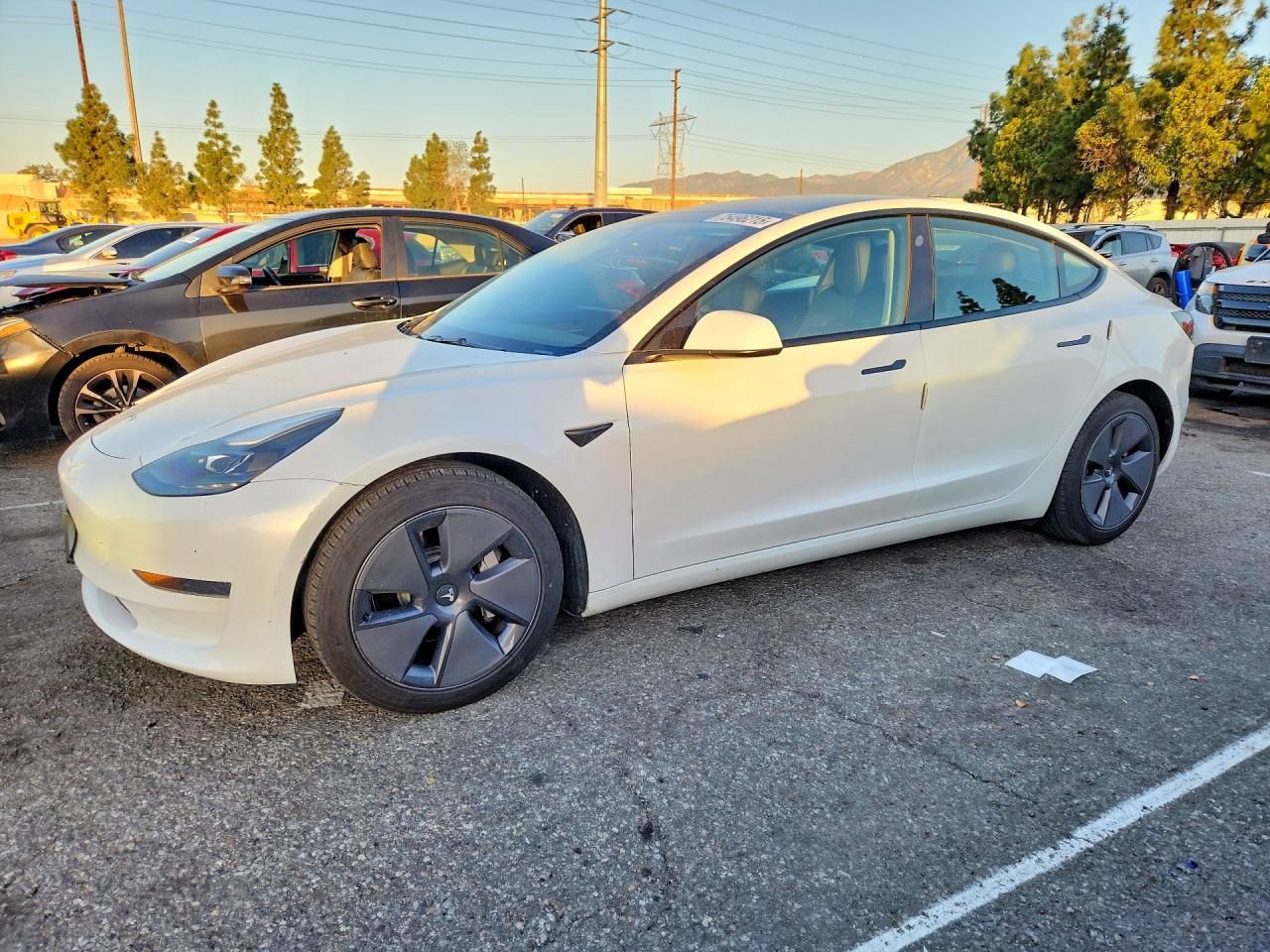 2023 TESLA MODEL 3