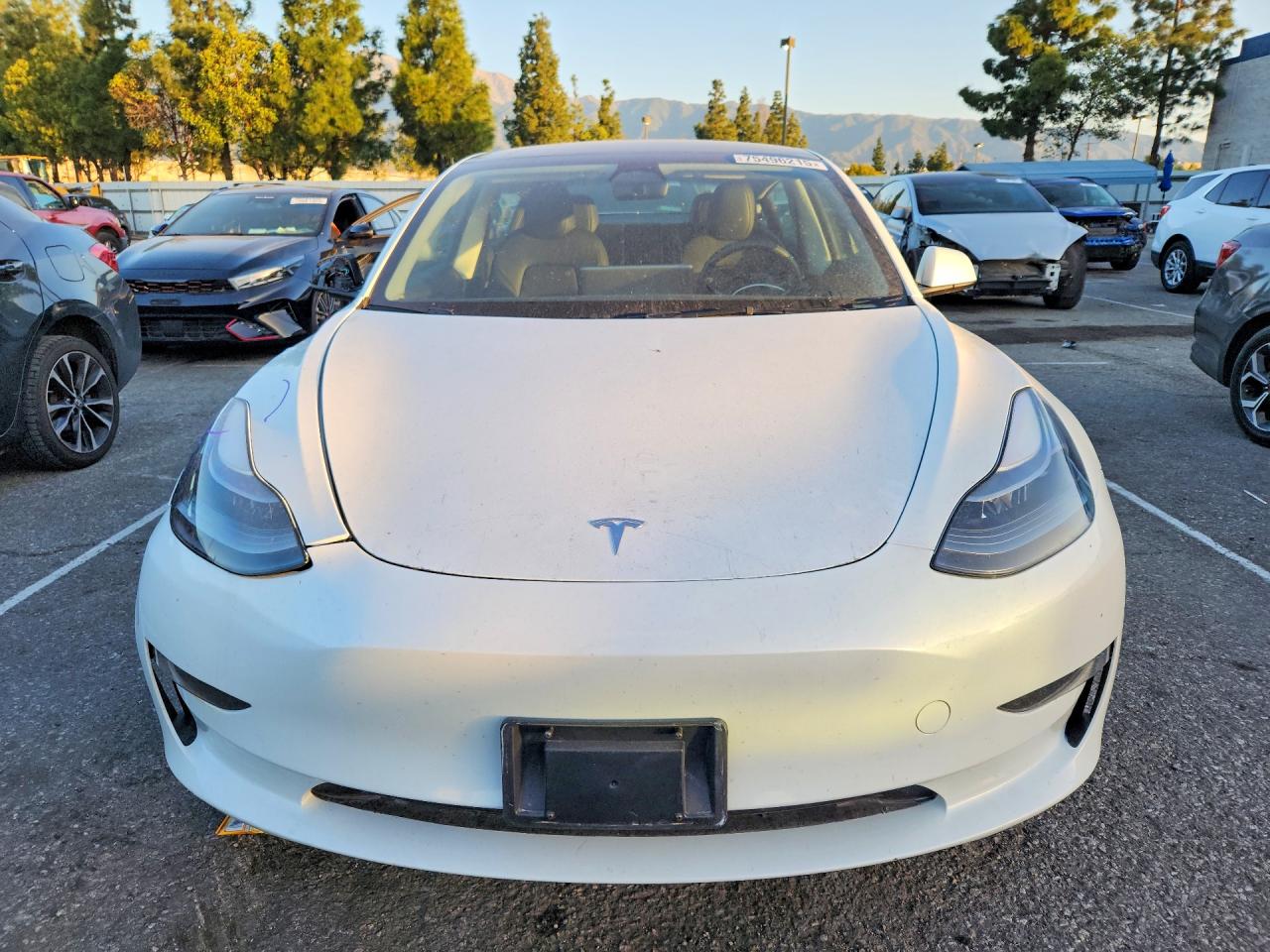2023 TESLA MODEL 3 photo 5
