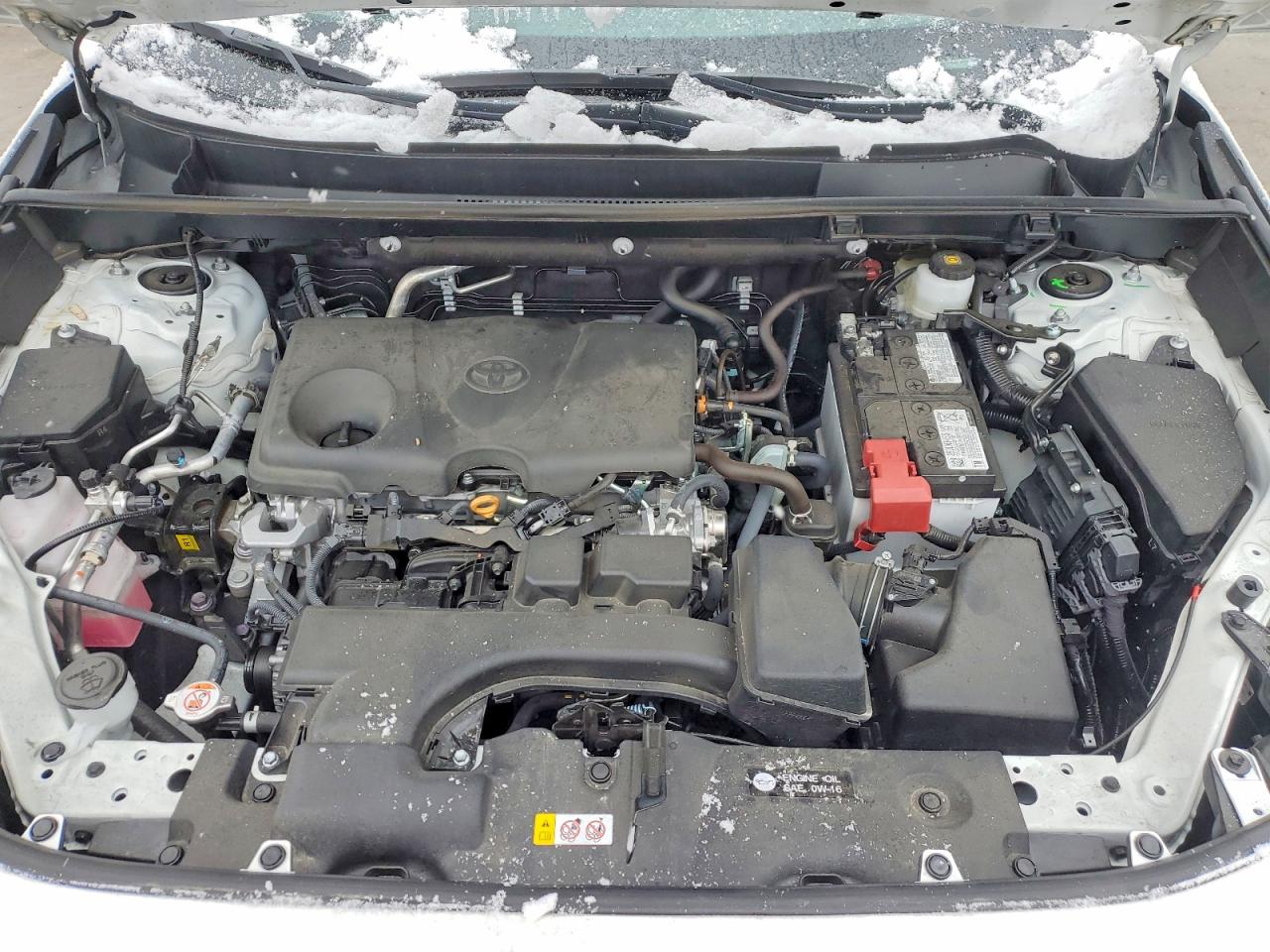 2025 TOYOTA RAV4 XLE photo 34