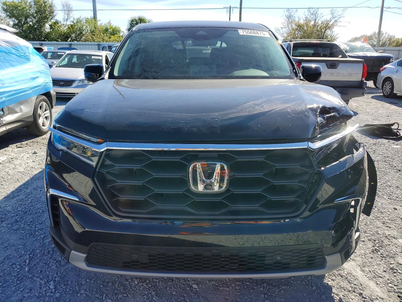 2025 HONDA PILOT EXL photo 13