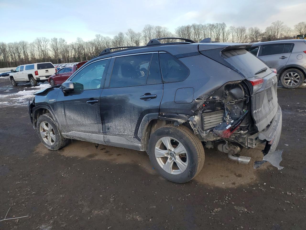 2019 TOYOTA RAV4 XLE photo 2