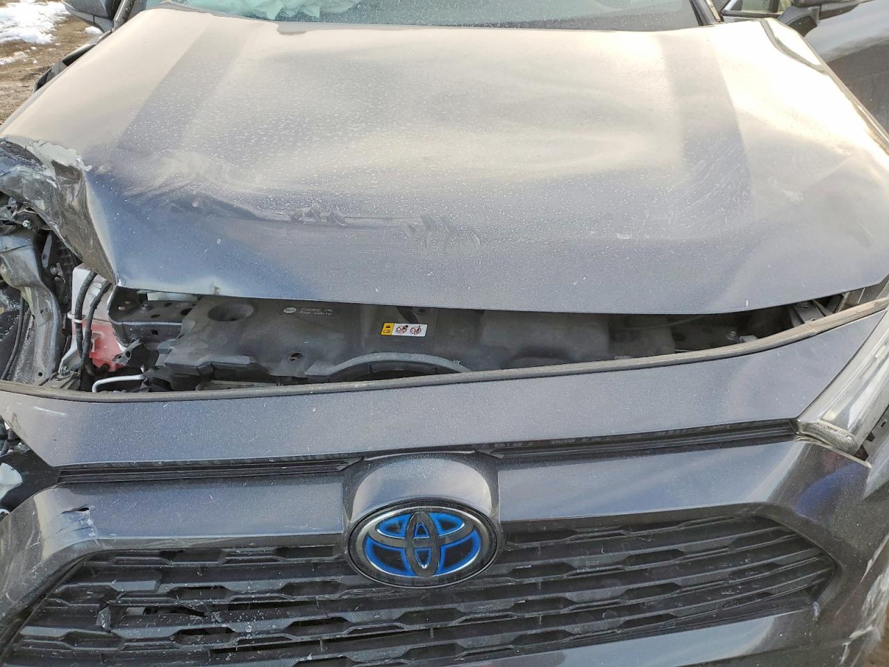 2019 TOYOTA RAV4 XLE photo 12