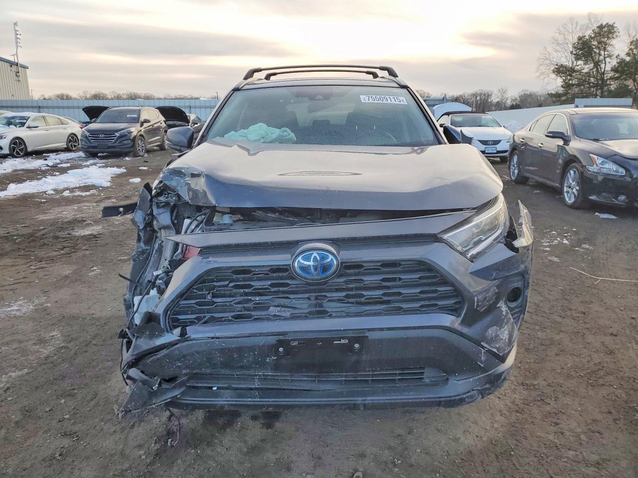2019 TOYOTA RAV4 XLE photo 5