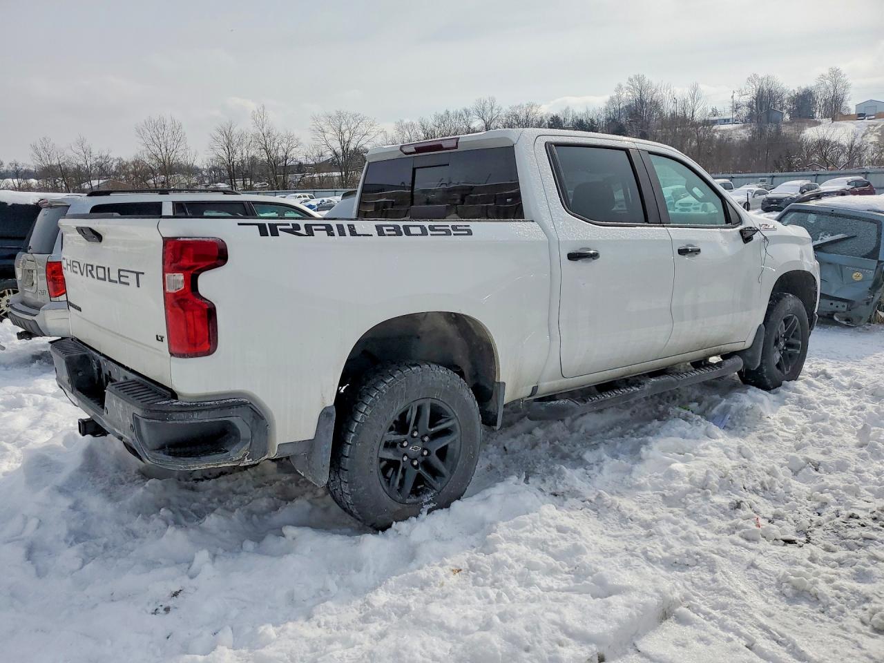 2020 CHEVROLET SILVERADO K1500 LT TRAIL BOSS photo 3