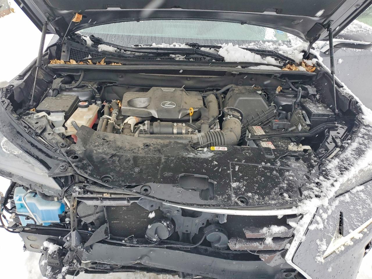 2021 LEXUS NX 300 BASE photo 12