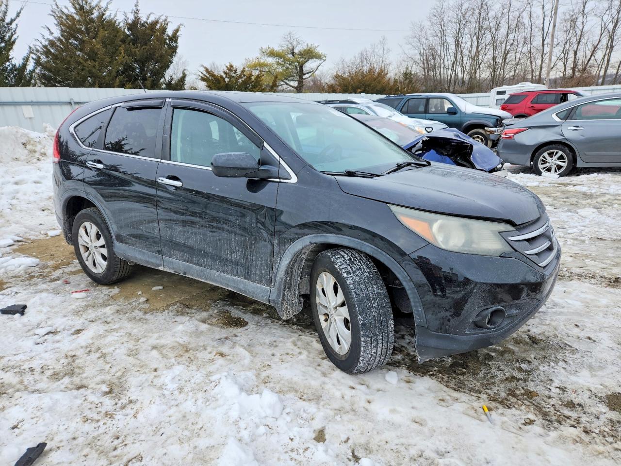 2014 HONDA CR-V EX photo 4