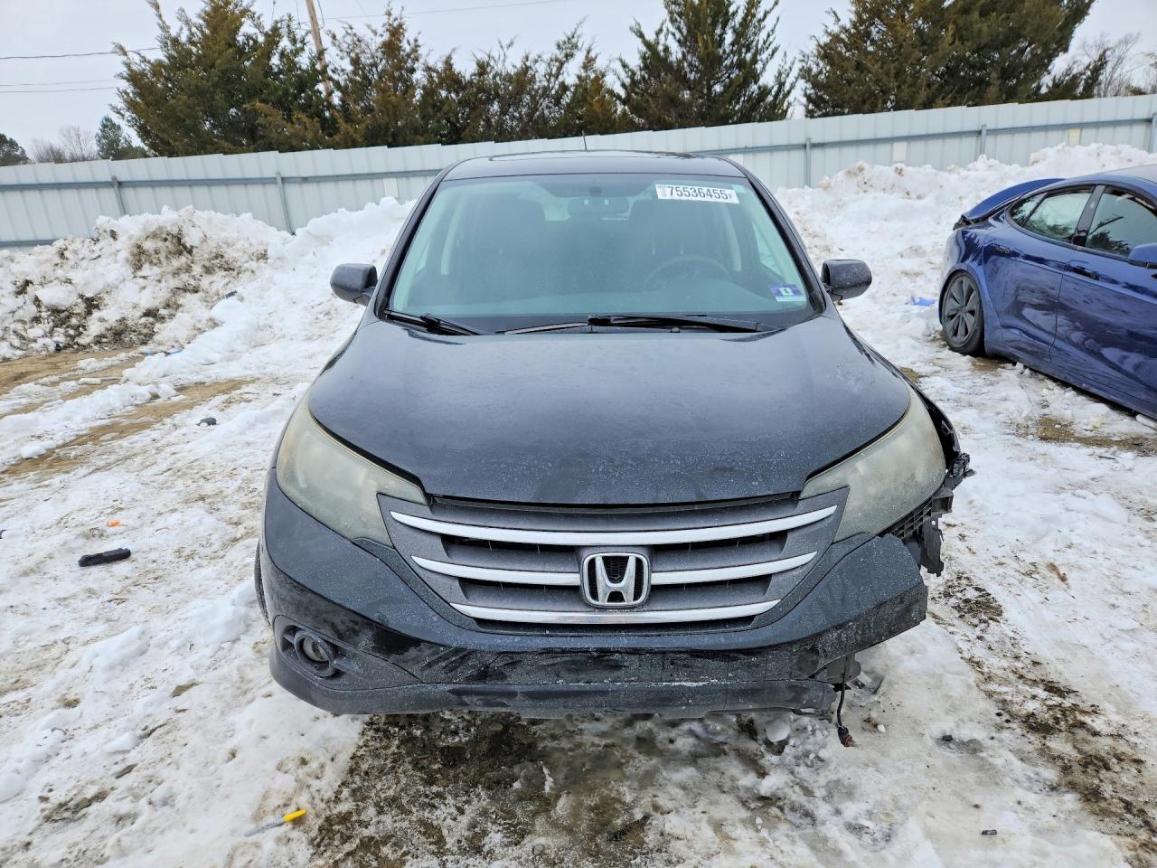 2014 HONDA CR-V EX photo 5