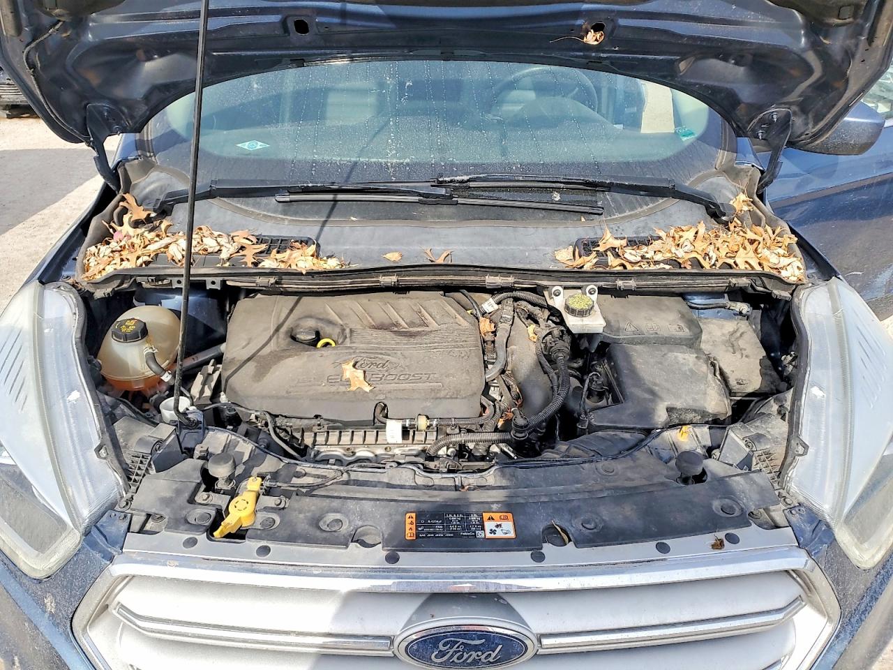 2018 FORD ESCAPE SEL photo 12