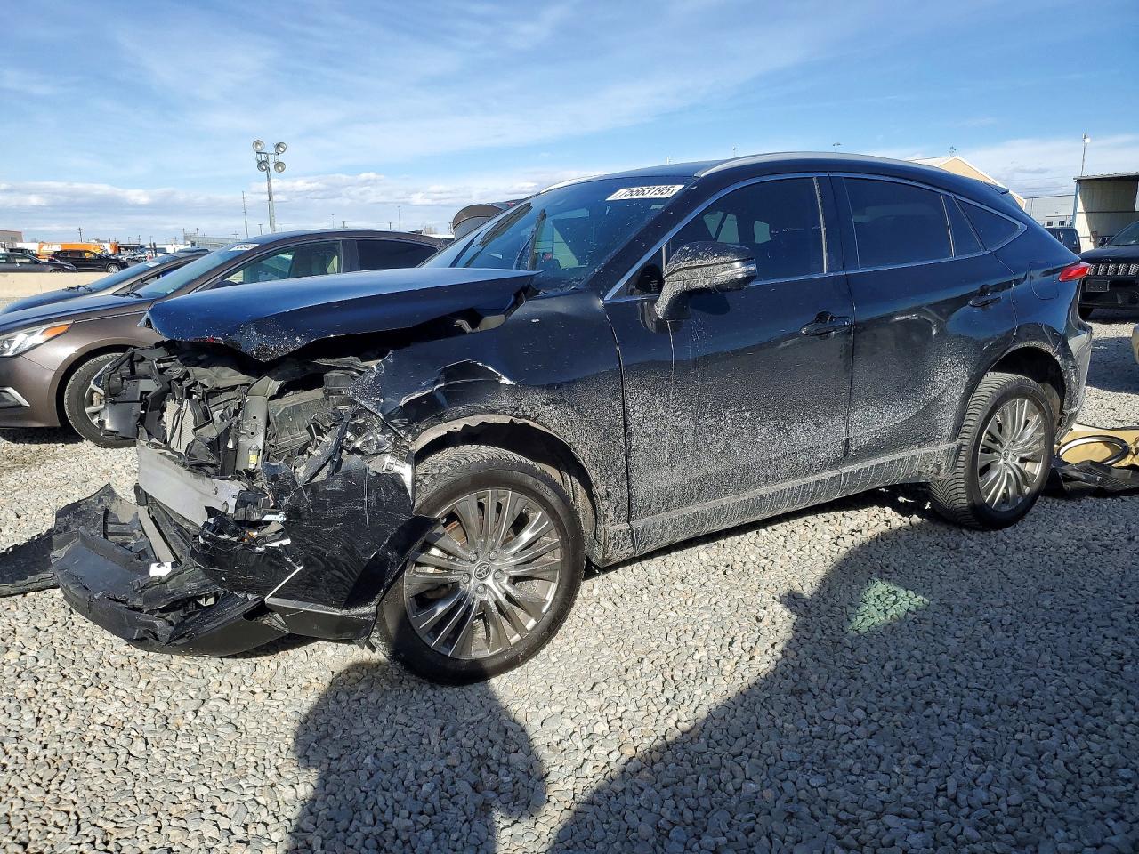 2024 TOYOTA VENZA