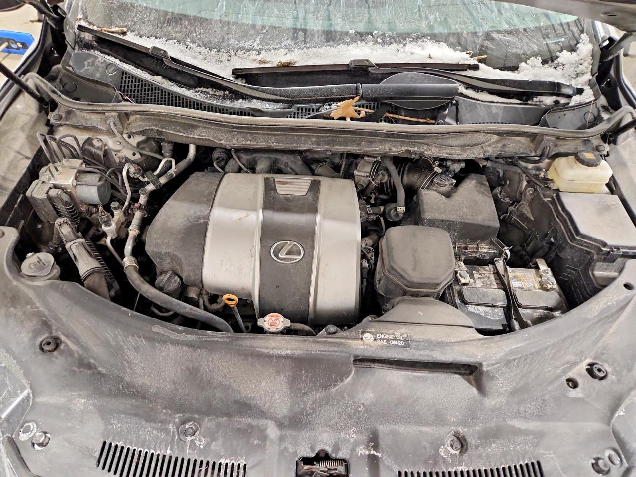 2021 LEXUS RX 350 photo 12