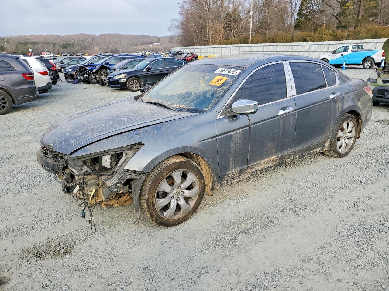 2008 HONDA ACCORD